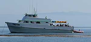 Channel Island boat