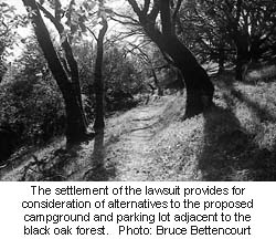 The settlement of the lawsuit provides for consideration of alternatives to the proposed campground and parking lot adjacent to the black oak forest.