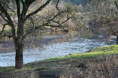Corraliltos Creek