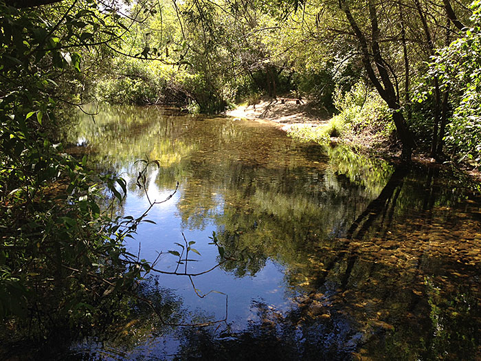 Carmel River