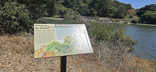 Elkhorn Slough