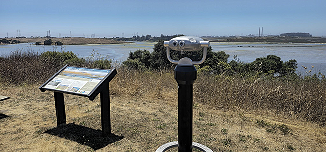 Elkhorn Slough