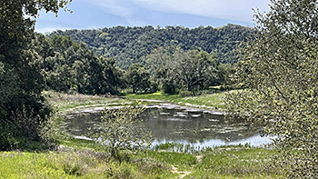 Carmel Valley Garland Park Mesa, East Ridge, and Vasquez Loop