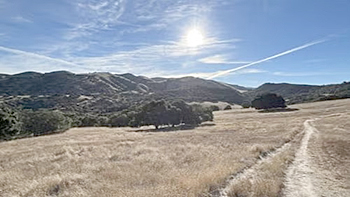 Meyers and Ollason Trail