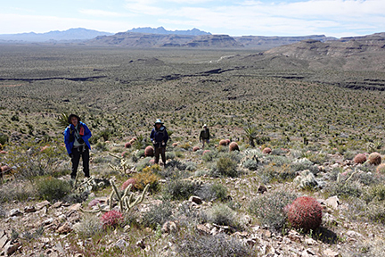 Torstoise Shell Mountain
