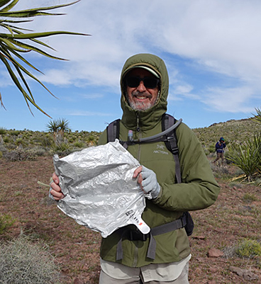 Broad-flowered Gilia